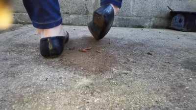 Ballet flats crush worms