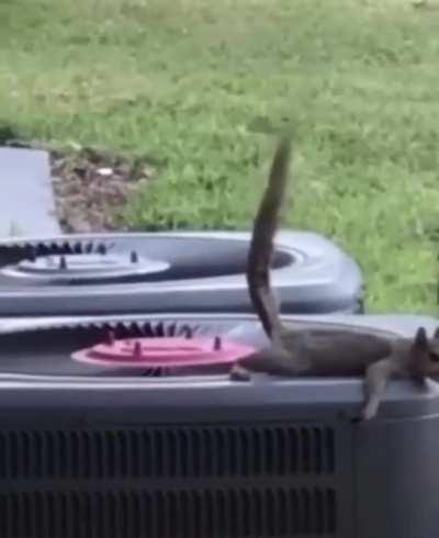 What did I just watch