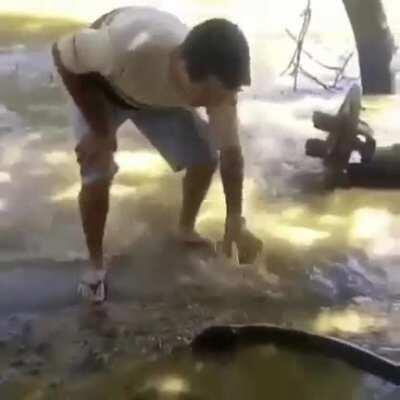 Touching and electric eel with bare hands -_-