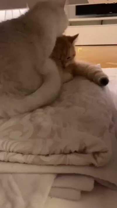 I am dieing 😭❤️