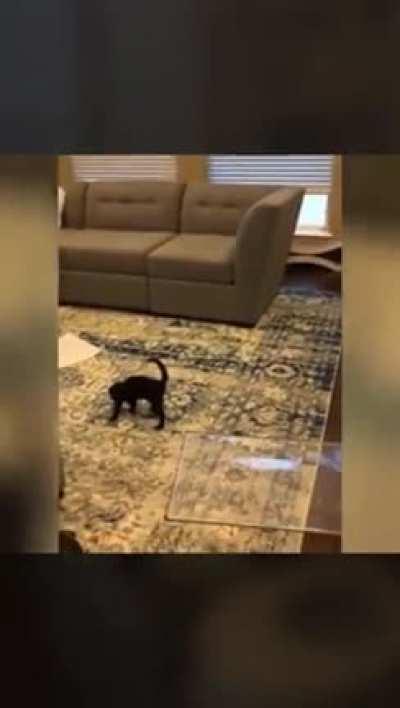 You call this a prison Karen ?