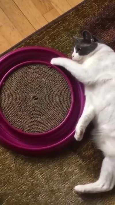 Why is life like this?