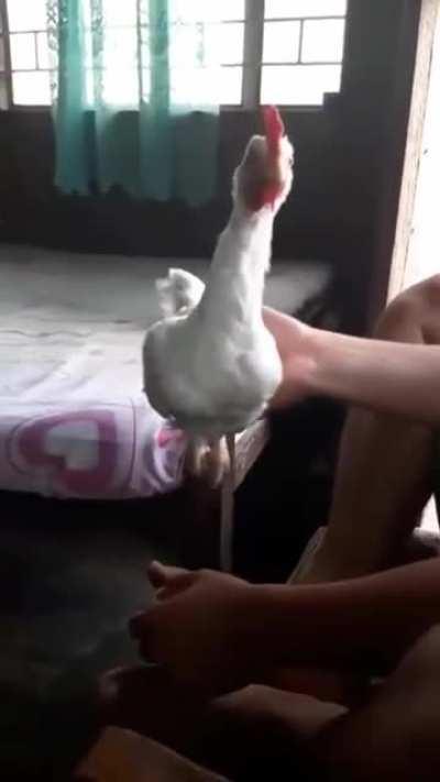 The military is testing out these new drones.