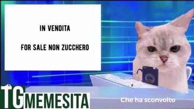 Prima edizione del TG memesITA (postato anche su r/TG MEMESITA