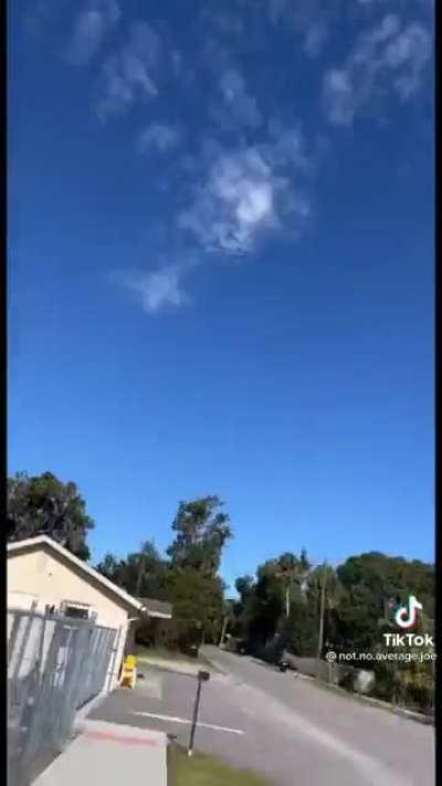 Skater beautifully captures nail-biting pursuit by street pups