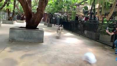 Just wanna cuddle them up!