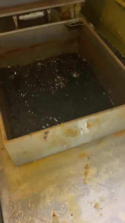 I guess you could say