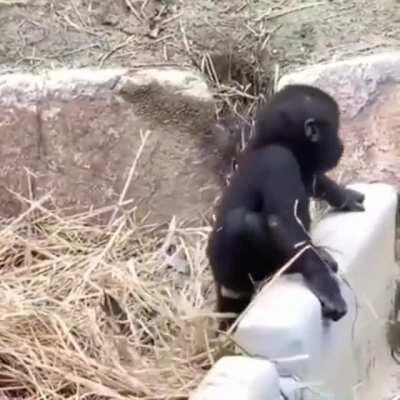 I said, “no jumping on the bed!”