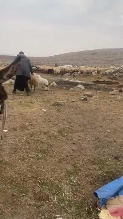 When everything seems to hate you...