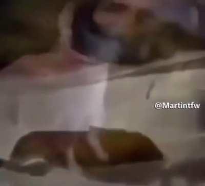 no kiss before marriage😡