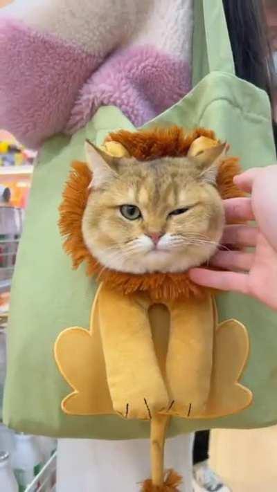 I could really use a bag like that 😍😍