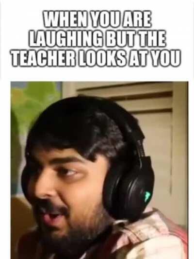 Muta reverse