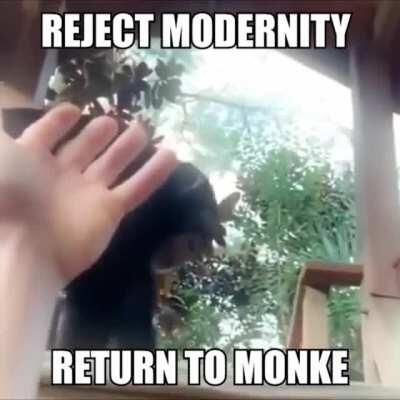 reject humanity, return to monke