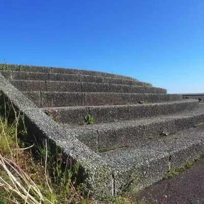3-year-old skateboarder conquers a set of stairs