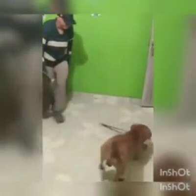 Where's my ball's Dave, where the f*ck are my ball's.