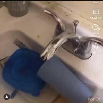 Nah they living bad 😭😭😭😭