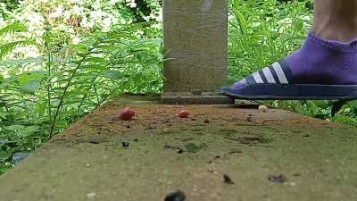 Quarterfinal 1: Barefeet v/s Adilettes