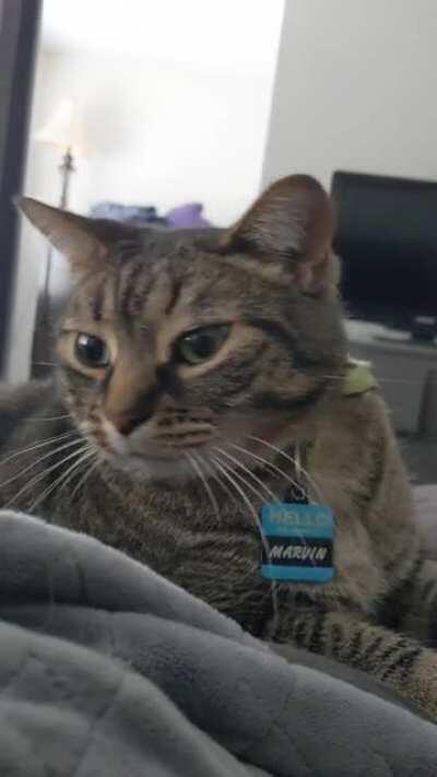 I'm sorry, but I needed to get up for work!