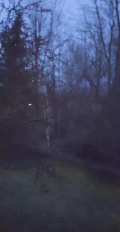 Okay so this just happened outside my window.... And they've never sounded like this