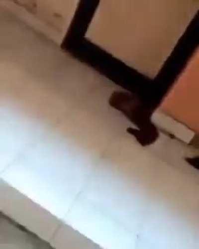 Kid fell on first floor and crucified.