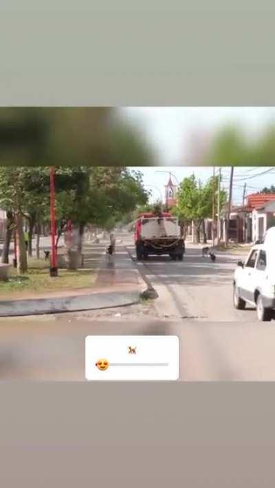 Si tenés la posiblidad de dejarle un tarrito con agua a un perrito callejero, se un buen humano rediturro y hacelo.