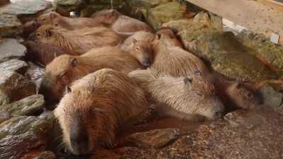 É sexta-feira, meus bacanos