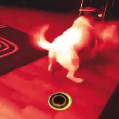 I came seeking for the toddlers of Olympus