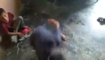 Pewds and Jack needs to try this in Bottle Flip Challenge