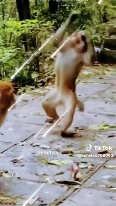 Human have the same vice