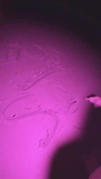 Zara on the beach - IG September 2025