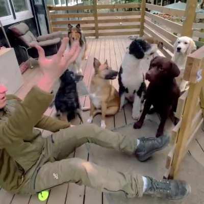 There’s so much going on here