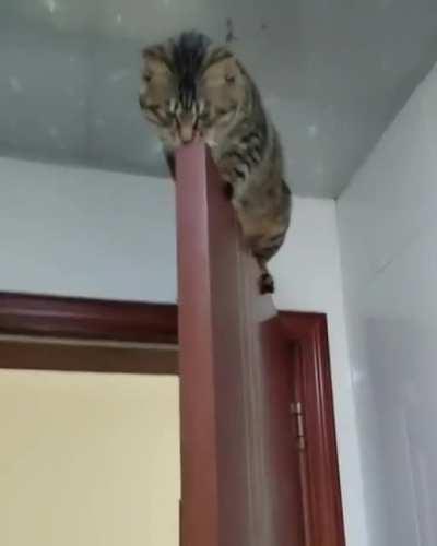 Couldn't Find A Better Place To Sleep