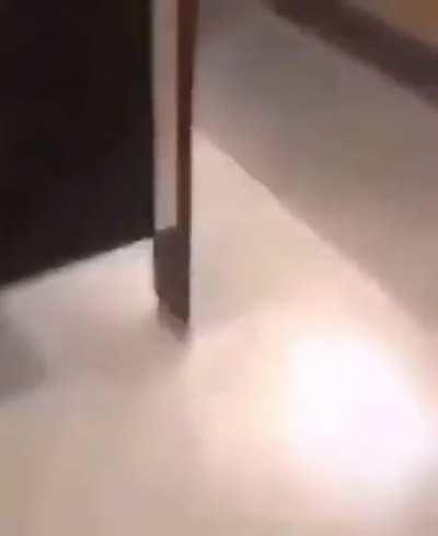 Stop public littering!