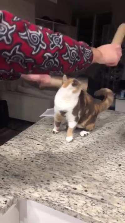 She demands the drum