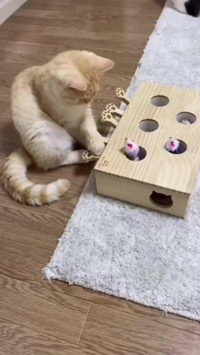 So that's how it works