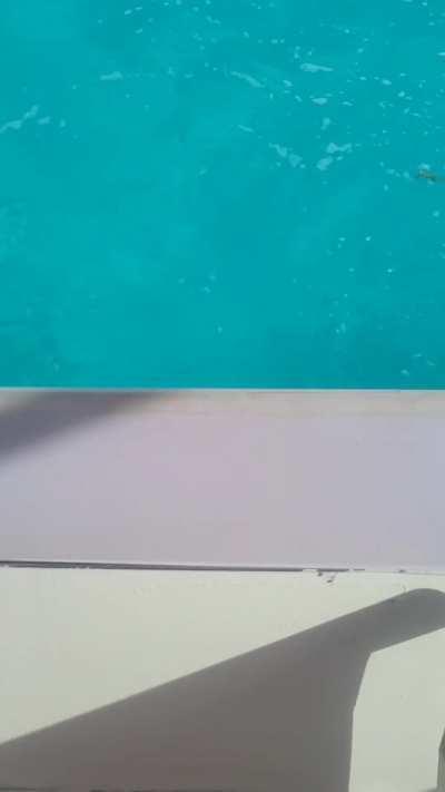 Ferry starts sinking.