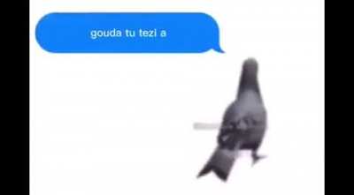 ShitpostBR - Video #2567