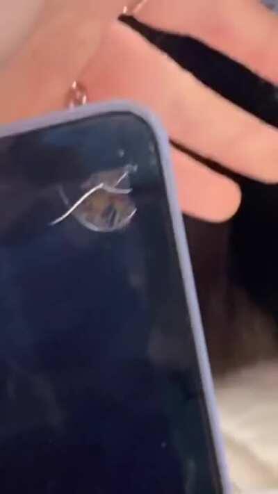 What could go wrong letting your cat chew on your MacBook screen