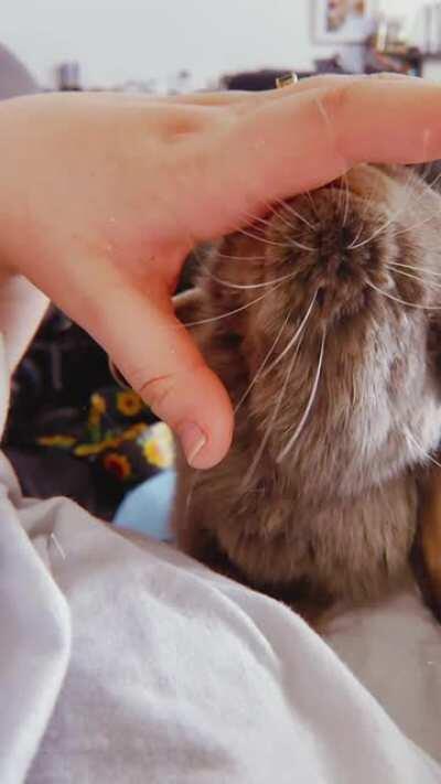 Slow motion kisses from Violet 🥰