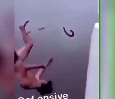 Bitch nigger slut shit