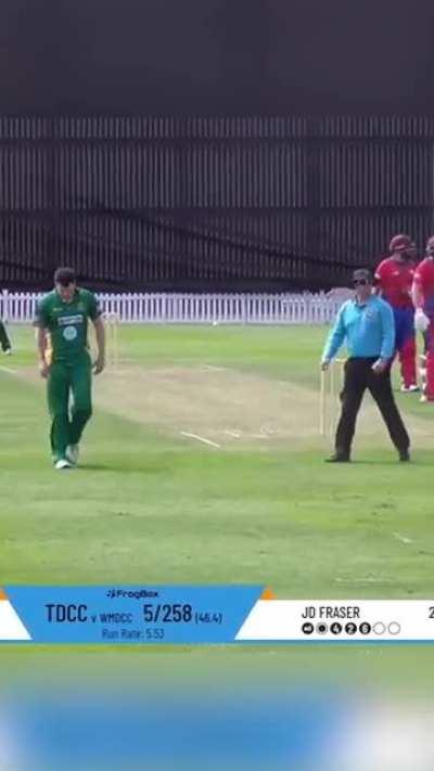 Playing cricket in Austria