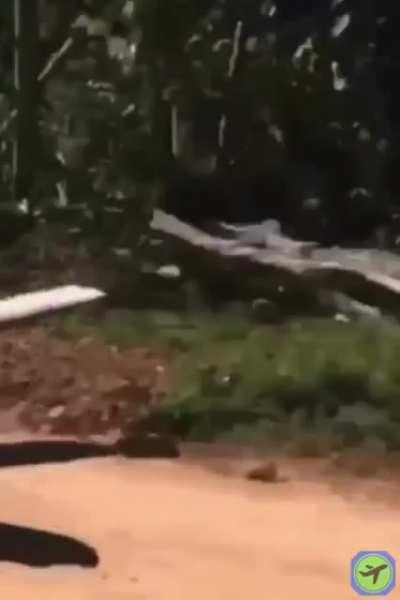 Private jet taking off in the sand