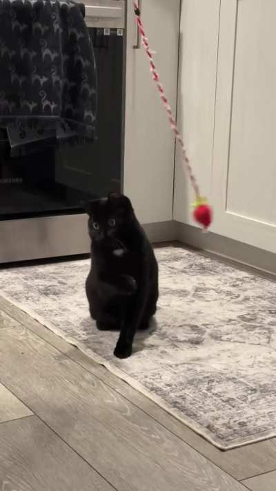 He’s doing his best