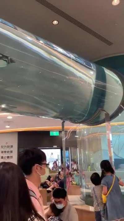 Omg the penguins! New Xpark in Taoyuan.