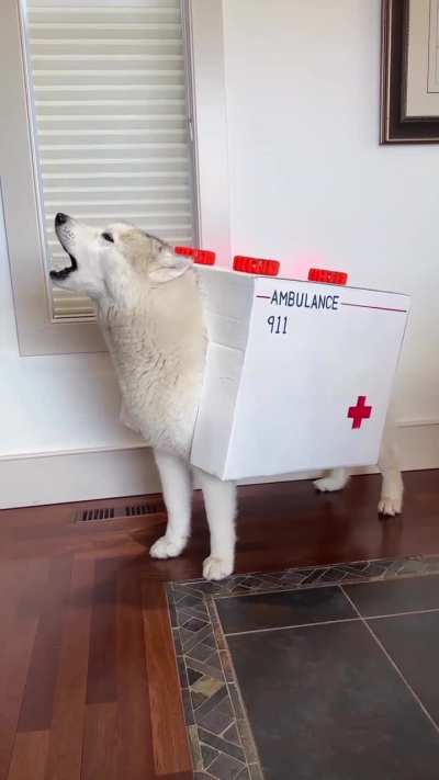 Awoombulance for Halloween
