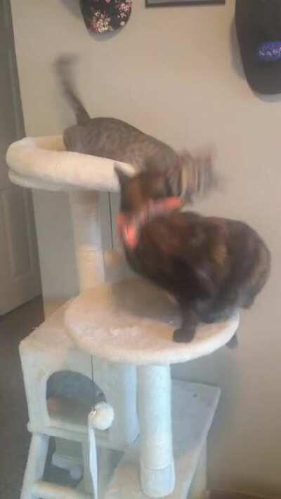 Paris shows Versailles the floor