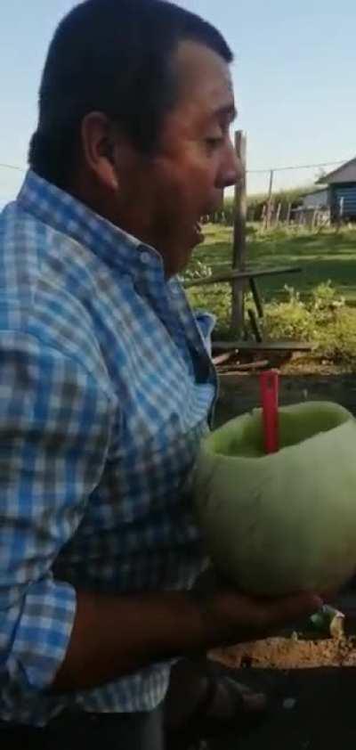 Que lindo es el sur XD