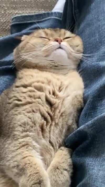 I’m stuck here... no work and no bathroom till she wakes up.