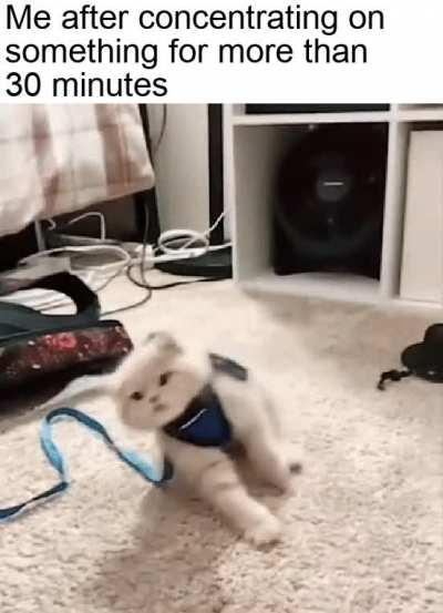 Yeah that's too much