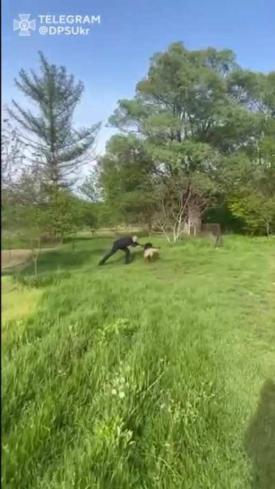 Border guard from Asovstal reunites with his fur buddy after months of being in captivity